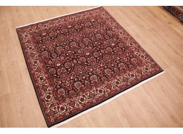 Persian carpet Bidjar square oriental rug 209x202 cm
