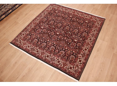 Persian carpet Bidjar square oriental rug 209x202 cm